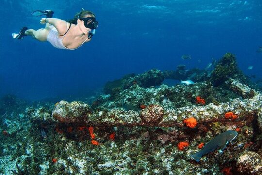 Abrolhos Island Scenic Flight And Snorkel Adventure From Perth