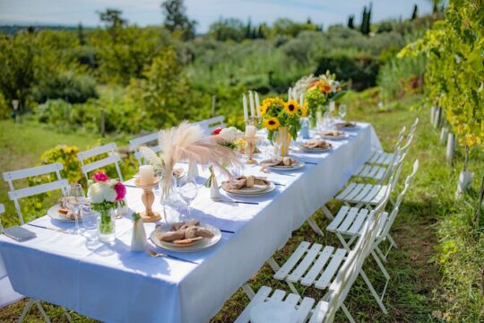 Dinner in the Vineyard French Riviera