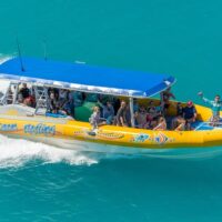 Day Trips & Excursions