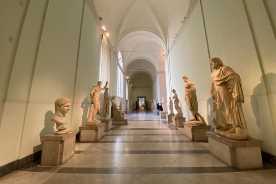 Private Tour of the National Archaeological Museum of Naples