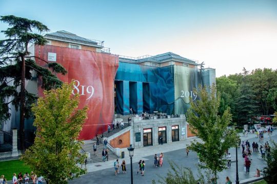 Prado and Reina Sofia Private Tour: Tickets and Hotel Pickup