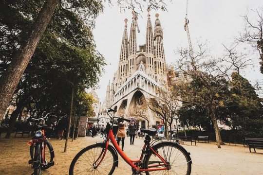 Private Barcelona Street Art and Bike Tour with Local Expert