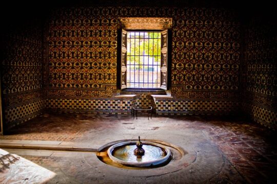 Seville in a Day: Private Tour Vip