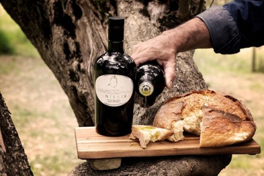 Picnic in Century’s Olives Grove Near Matera