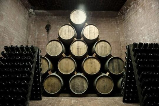 Food Tour: Parmigiano, Balsamic, Red Wine, lunch,transport