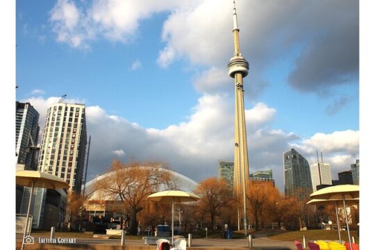 Downtown Toronto Layover Private Tour