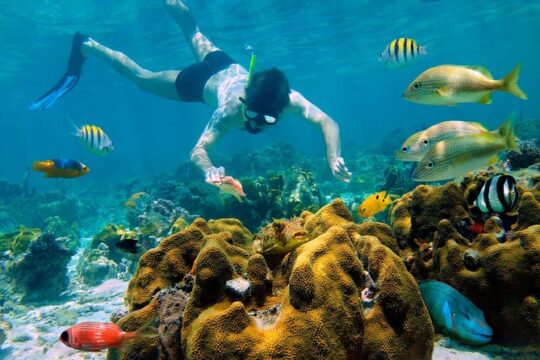 Go to Isla Mujeres In a catamaran with all inclusive from Cancun book now!