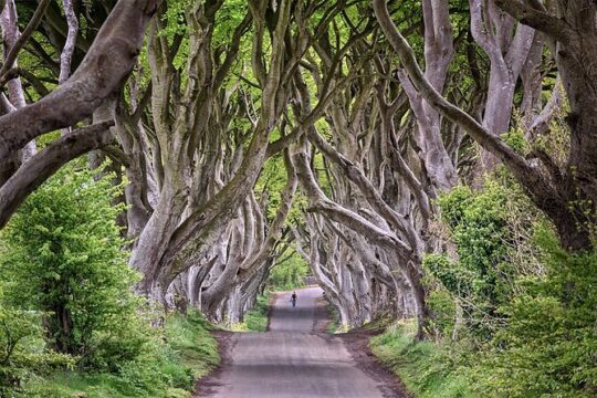 Private Luxury Giant's Causeway Trip Up to 16 People
