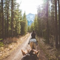Horseback Riding