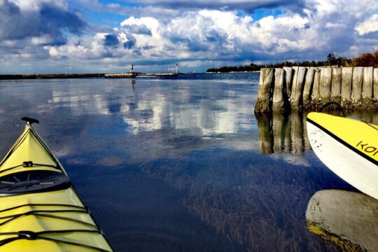 Kayak discovery tour in the lagoon of Venice