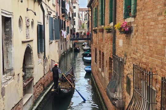 Guided Tour of Venice City Highlights for Kids & Families