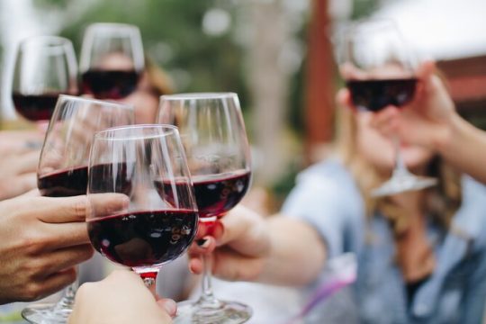 Full-Day Ribera del Duero Wineries Tour from Madrid with Pickup and Drop off