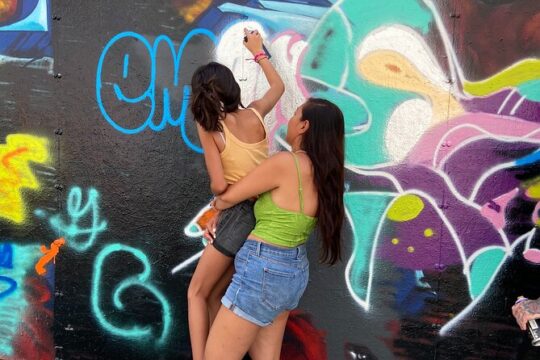 Private Street Art Workshop (BARCELONA)