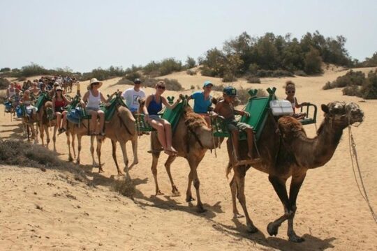 Camel Safari through the Dunes of Maspalomas
