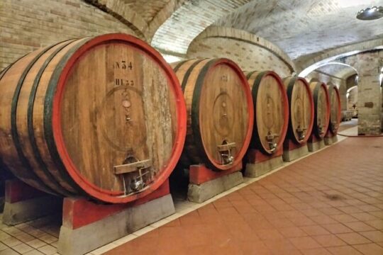 Wine Tour from Cagliari - Visit the vineyard and wine tasting