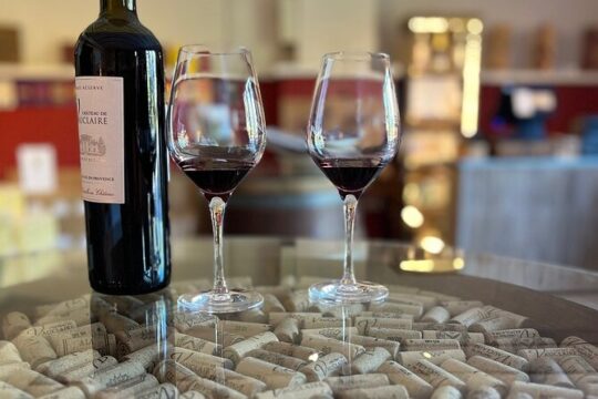 Half day Wine Tour in Côteaux Aix from Aix en Provence