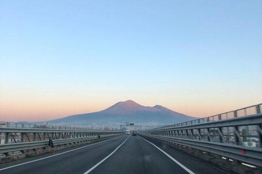 Pompeii, Herculaneum and Vesuvius Private Guided Tour