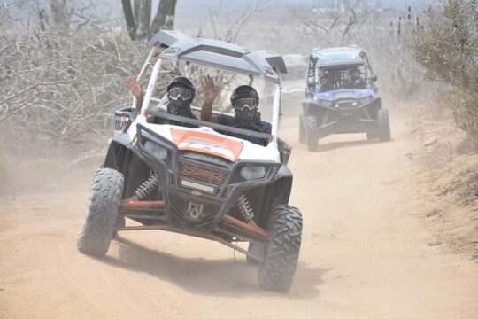 Razors in Cabo San Lucas