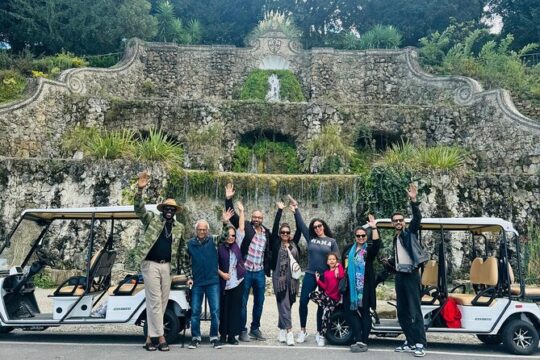 Private Tour in Florence with Electric Golf Car