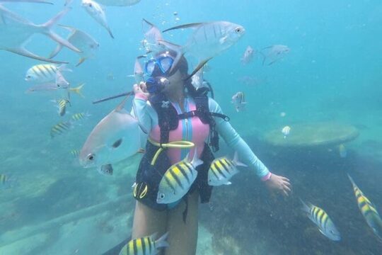 Discover Scuba Diving in San Juan, Puerto Rico