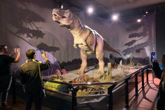 Private Guided Tour of Natural History Museum - Skip the Line