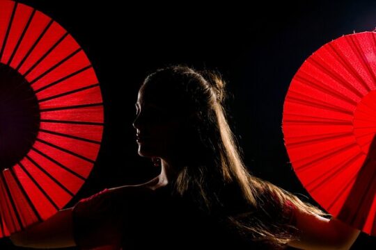Flamenco show & tasting Tapas with panoramic views in Madrid