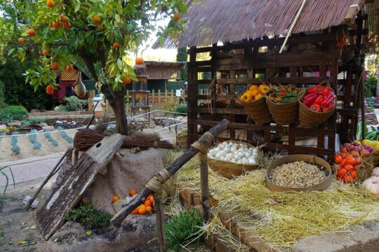 Private Day Trip to Xàtiva from Valencia with a local