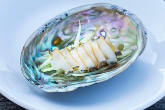 Abalone farm tour and tasting with coastal seaweed walk. Guided. 2 hours