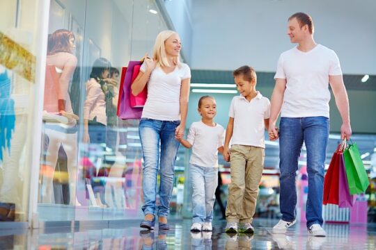 Visit London on a day trip with a Private & friendly guide