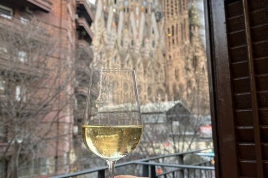 Wine tasting with a view of the Sagrada Familia
