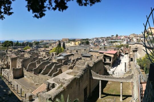 4/hours Half Day Trip Excursion to Herculaneum - Guide included