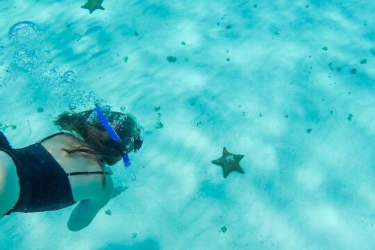 El Cielo Cozumel, a paradisiacal tour. Be amazed by the stars near to you.