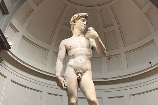 Accademia Gallery Guided Tour with Priority ticket