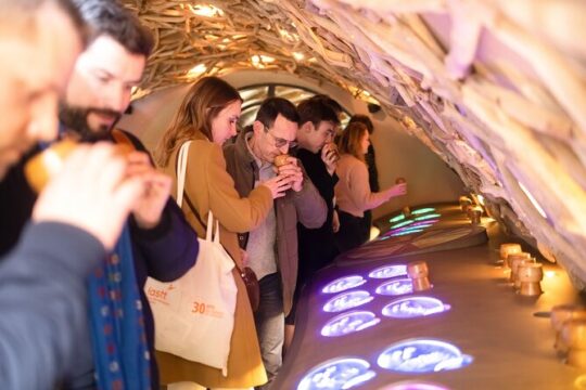 Guided Visit and Wine Tasting in a Royal Wine Cellar in Paris