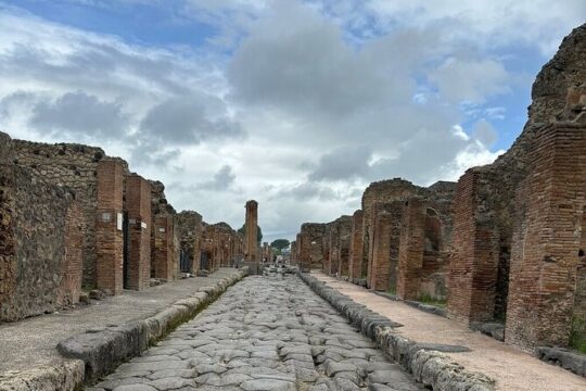Guided Tour of Pompeii & Vesuvius with Lunch and Entrance Fees Included