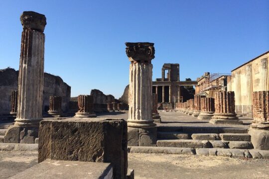 Pompeii-Herculaneum-Wine tour from Sorrento, with licensed guide included