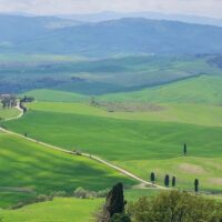 Private & Custom Tours
