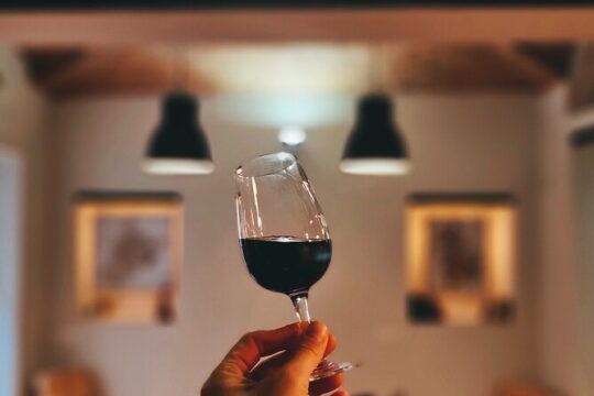 Discover Piedmont Wines in Turin