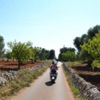 Vespa, Scooter & Moped Tours