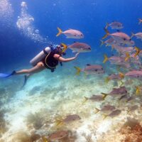 Scuba Diving