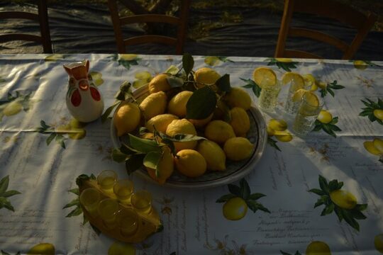 Discovery Tour of Sorrento Lemon in Massa Lubrense