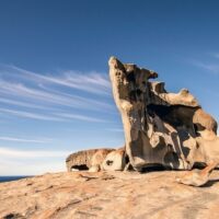 Walking Tours