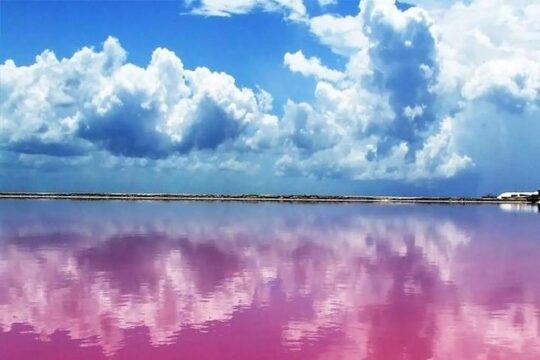 Río Lagartos y Las Coloradas Private Tour from Merida