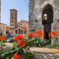 Cultural & Theme Tours