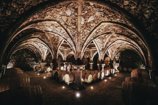 Provence Wine Tour - Small Group Tour from Nice
