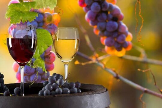 Day Trip: Todi And Montefalco Private Tour + Lunch + Wine Tour With Tasting