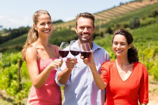 Radda in Chianti: Wine Tasting Tour with lunch at the Castle