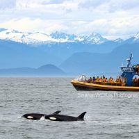 Half-day Tours