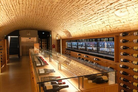 Dijon guided tour with wine tasting included !