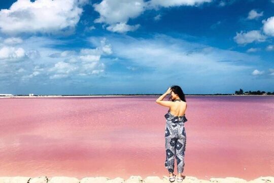 The Best Experience to Las Coloradas & Rio Lagartos from Tulum!